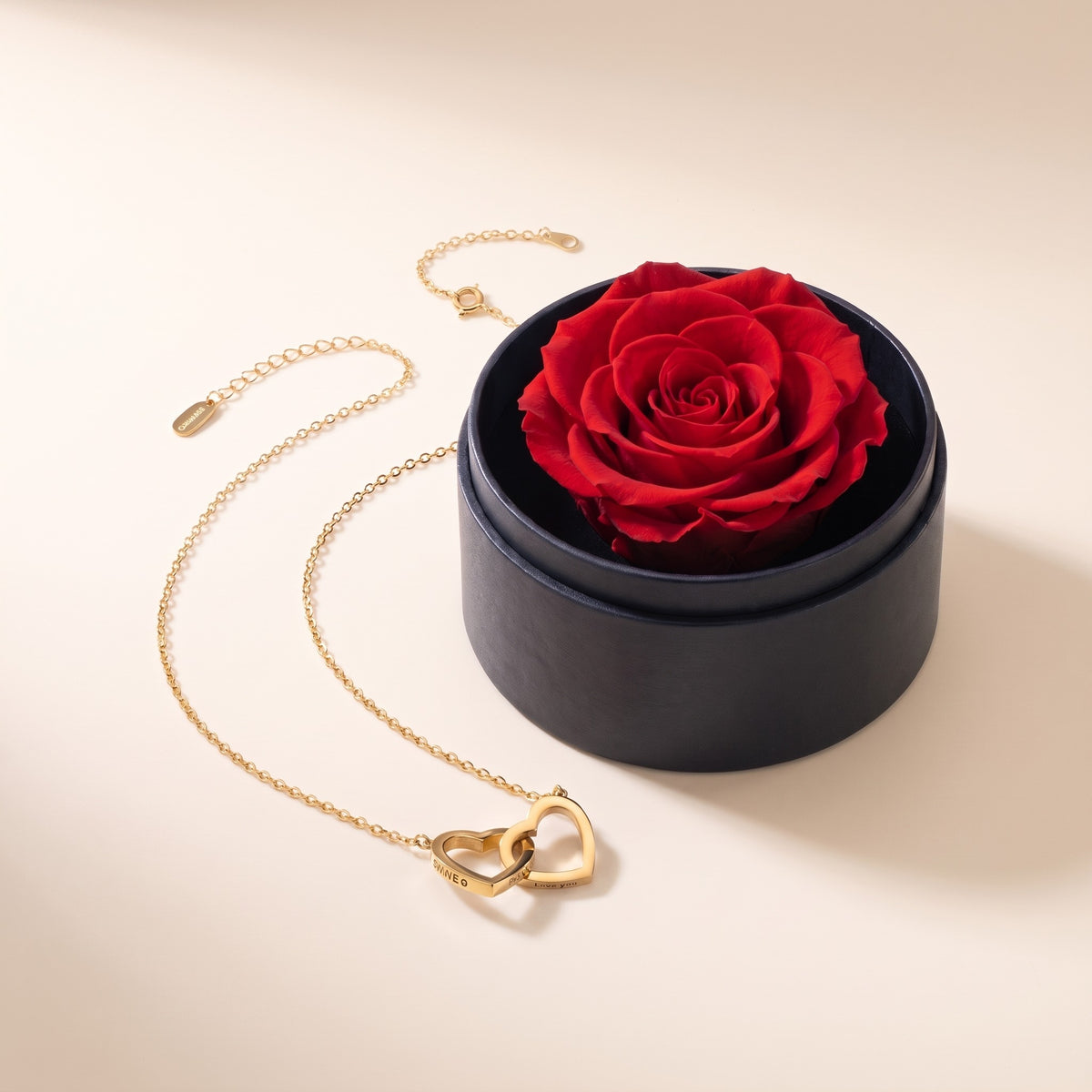 Set regalo de rosa preservada y collar de corazones